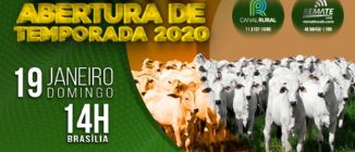 LEILO VIRTUAL GADO DE CORTE - ABERTURA DE TEMPORADA 2020